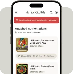 Monitor and Optimize